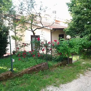 Norianino , Montemerano Italia